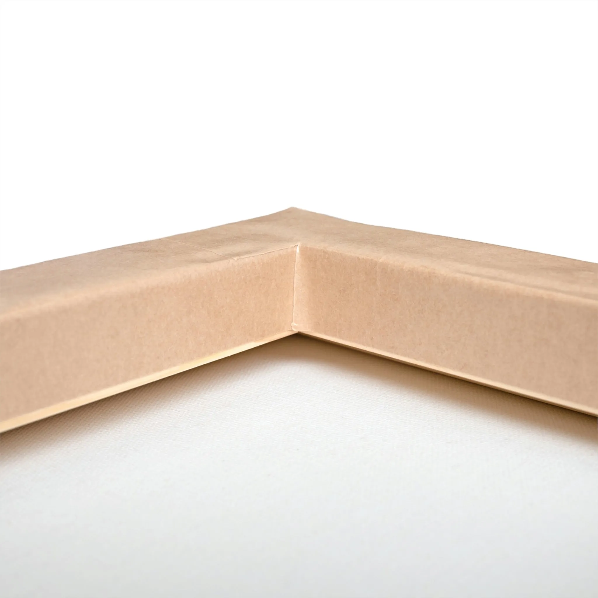Bliscor Stretched Canvas