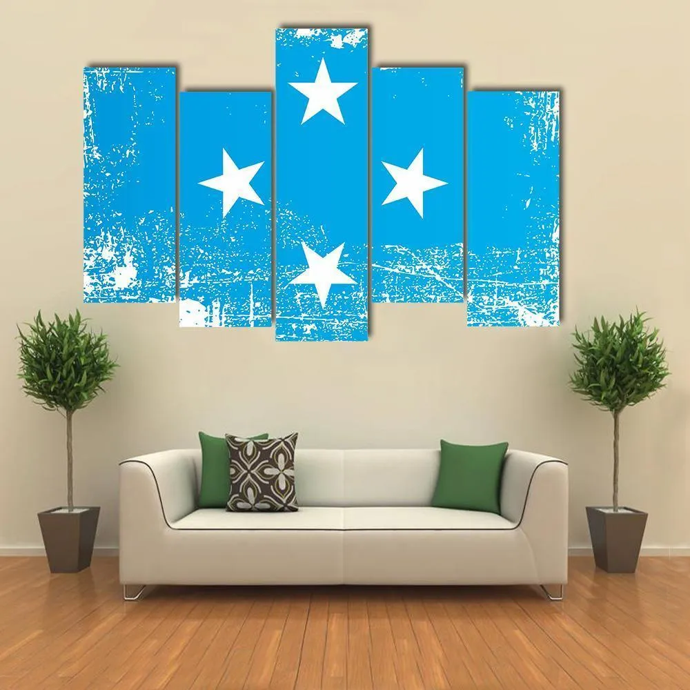 Flag Of Federated States Of Micronesia Canvas Wall Art