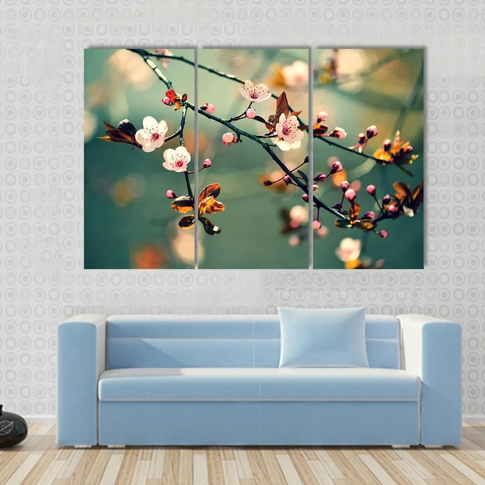 Flowering Japanese Cherry Canvas Wall Art