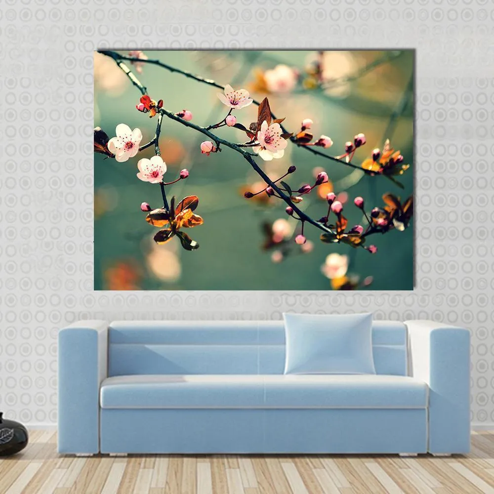 Flowering Japanese Cherry Canvas Wall Art